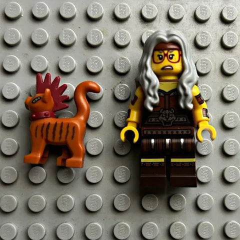 LEGO The Lego Movie 2 Sherry Scratchen-post
