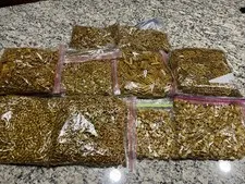 10+ Lbs Of New Gold Lego Bricks Brand New Nice