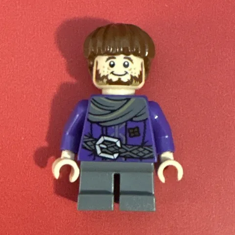 LEGO-Ori The Dwarf-Lord of The Rings-The Hobbit (no accessories)
