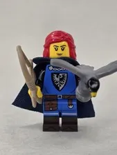 LEGO Minifigures Series 24 – Falconer (71037) 6h