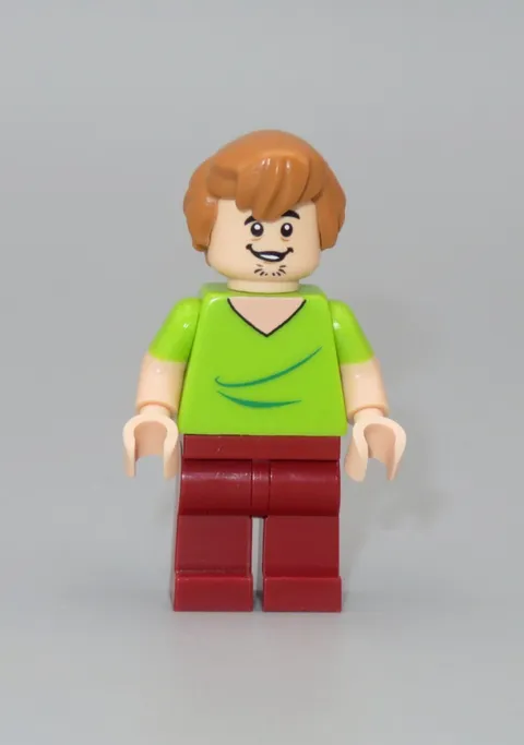 LEGO Shaggy Scooby Doo minifigure 75902 75904