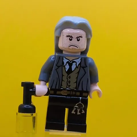 Argus Finch hp097 Light Bluish Gray Long Hair Minifigure Lego