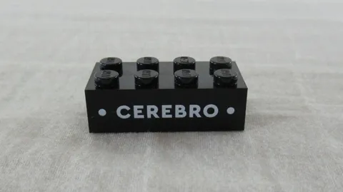 Lego X-Men Cerebro Printed 2 x 4 Brick Set #6546714 2024 GWP Gift with Purchase