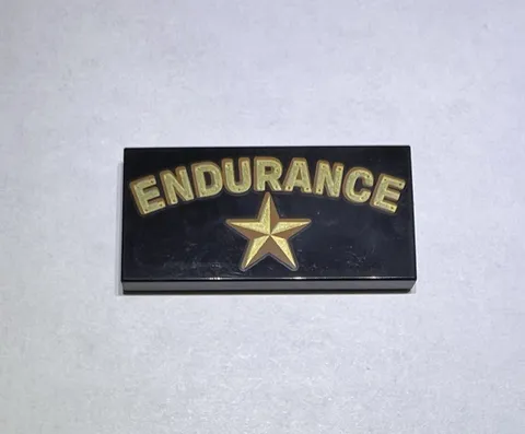 Lego 2x4 Printed Tile Sign Black Good Endurance Ship New City Star 359