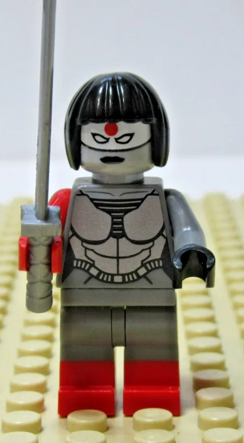 LEGO Katana Minifigure DC Super Heroes Batman 76055 Retired Rare