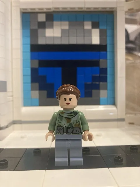 LEGO Star Wars Princess Leia Endor Minifigure SW0235 8038