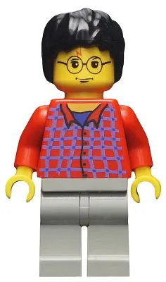 LEGO® Minifigure Harry Potter hp025 Harry Potter Red Shirt Torso Light Gray Legs