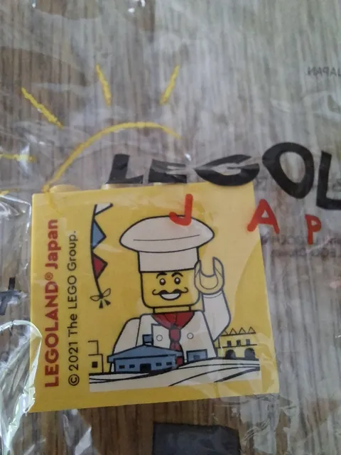 Legoland Japan Collectible Brick Custom Brick Promo Brick Lego 2021 Gordon Collector