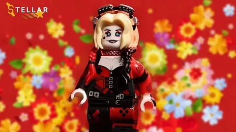 LEGO DC Comics Stellar Brick Custom Suicide Squad Harley Quinn PAD Minifigure