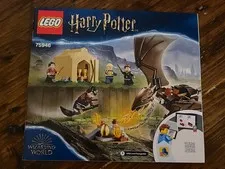 Lego Harry Potter Hungarian Horntail Triwizard Challenge 75946 INSTRUCTIONS ONLY