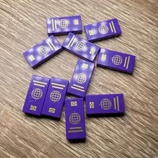 LEGO Purple Printed Passport Tile Pieces x10 Plastic Parts Lot