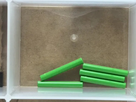 LEGO Parts - Bright Green Bar 3L (Bar Arrow) - No 87994 - QTY 5