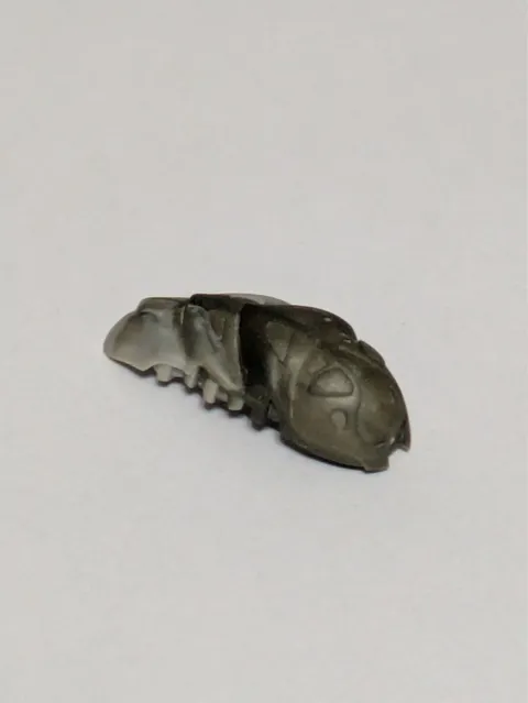 LEGO BIONICLE Kraata Hunger Stage 6 Pearl Dark Gray/Light Gray