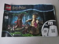 Lego Building Instructions Instruction Harry Potter 75967-1
