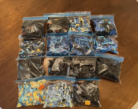 LEGO #21333 Starry Night