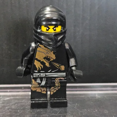 LEGO Ninjago COLE DX Black Dragon COMPLETE Minifigure from 2509 2520 - AUTHENTIC