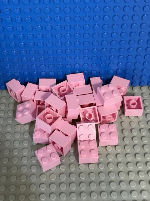 LEGO Pink 2x2 Brick Plastic Building Pieces Bulk Lot - 30, Bag