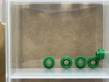 LEGO Parts - Green Plate, Round 1 x 1 with Open Stud - No 85861 - QTY 5