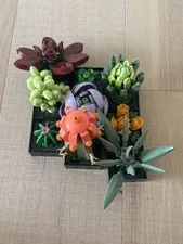 LEGO Botanicals: Succulents (10309) AUTHENTIC