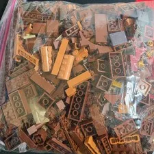 LEGO Bulk Building Bricks Lot 2Lb 3Oz of Assorted Browns        Brown1