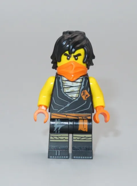 LEGO Ninjago Cole Legacy  minifigure 71733