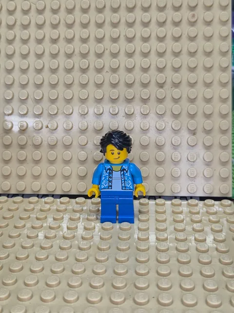 LEGO City Minifig cty0952 - Park Visitor - Light Scratches/No Cracks