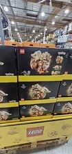  LEGO Pokémon Arcanine (72160)