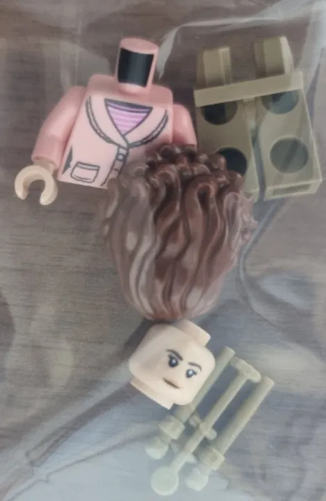 Lego 76471 Harry Potter Nocturne Alley Magic Shops Hermione minifigure