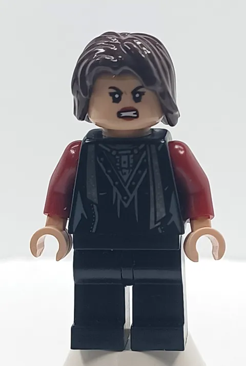 LEGO Nymphadora Tonks Minifig from Harry Potter Burrow Attack set 75980