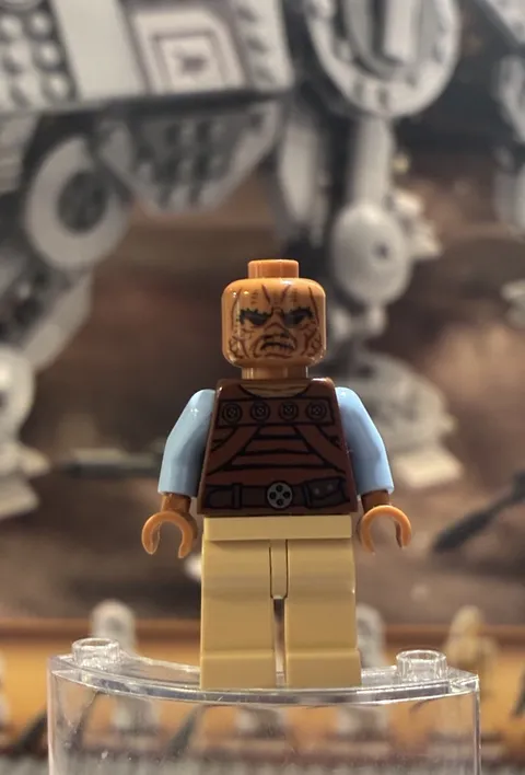 LEGO Star Wars Weequay Skiff Guard Pagetti Rook Minifigure SW0487 - 75020- Great