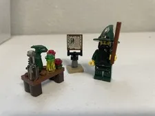 LEGO Kingdoms Wizard Set 7955 COMPLETE retired set