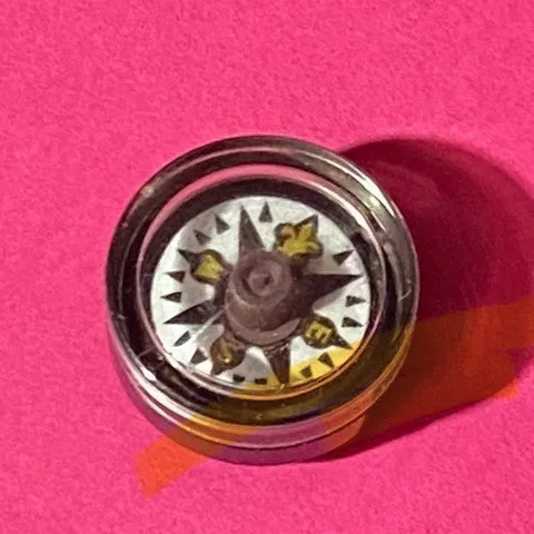 Lego Pirates Compass Fleur-de-Lis Pattern
