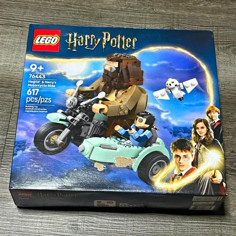 LEGO Harry Potter 76443 Hagrid & Harry's Motorcycle Ride 617pcs Brick Sep 9+ Box