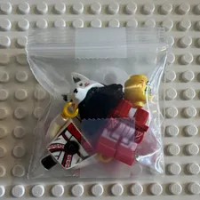 Akita (No Cracks) LEGO NINJAGO