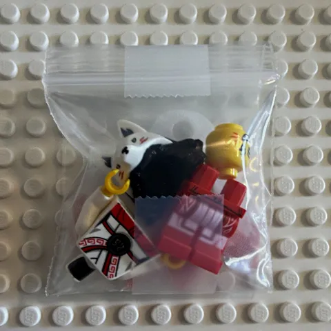 Akita (No Cracks) LEGO NINJAGO