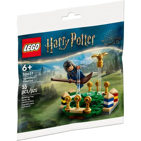 LEGO Harry Potter Quidditch Practice 30651 Building Set