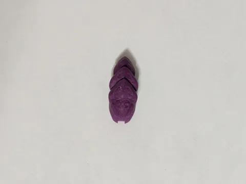 LEGO BIONICLE Shadow Kraata Stage 1 Purple