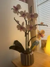 Including Instructions LEGO Botanicals: Orchid (10311)