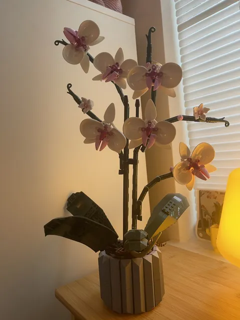 Including Instructions LEGO Botanicals: Orchid (10311)