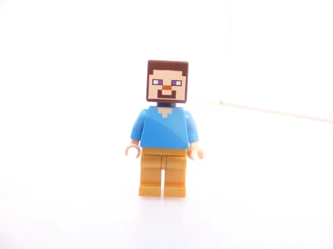 Steve LEGO Minifigure Lot MineCraft 21162