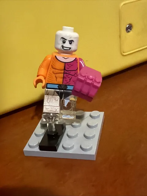 Lego DC Minifigures ~ 71026 - Super Hero Metamorpho