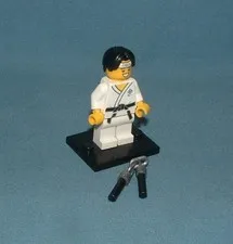 SERIES 20, MARTIAL ARTS BOY FIGURE - LEGO - 2020 - USED