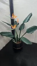 LEGO Botanicals: Bird of Paradise (10289) - no box or instructions