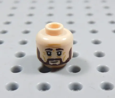 LEGO Harry Potter Male Boy Dual Sided Flesh Head Minifig Sirius Black BI