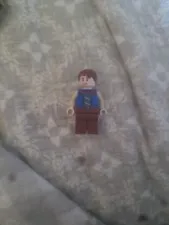 LEGO STRANGER THINGS 11370 Will Byers Minifigure The Creel House