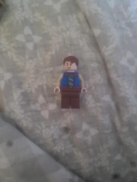 LEGO STRANGER THINGS 11370 Will Byers Minifigure The Creel House
