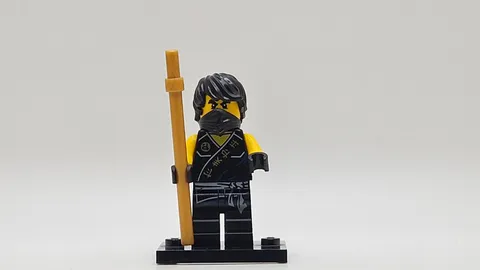 LEGO minifigure Cole njo0114 Ninjago Tournament of Elements 70753 ninja