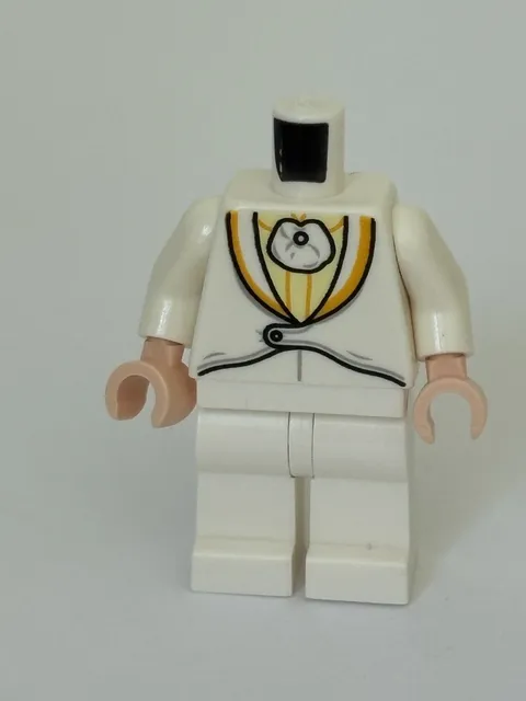 LEGO Egghead Minifigure Super Heroes LEGO Batman Movie 70920 *Torso & Legs Only*