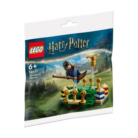 LEGO Harry Potter Quidditch Practice GWP 55 Pieces, 30651 Polybag, Medium