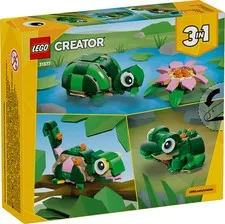 Turtle with a Water Lily Flower